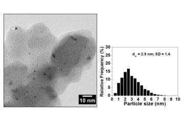 articolo catalysts